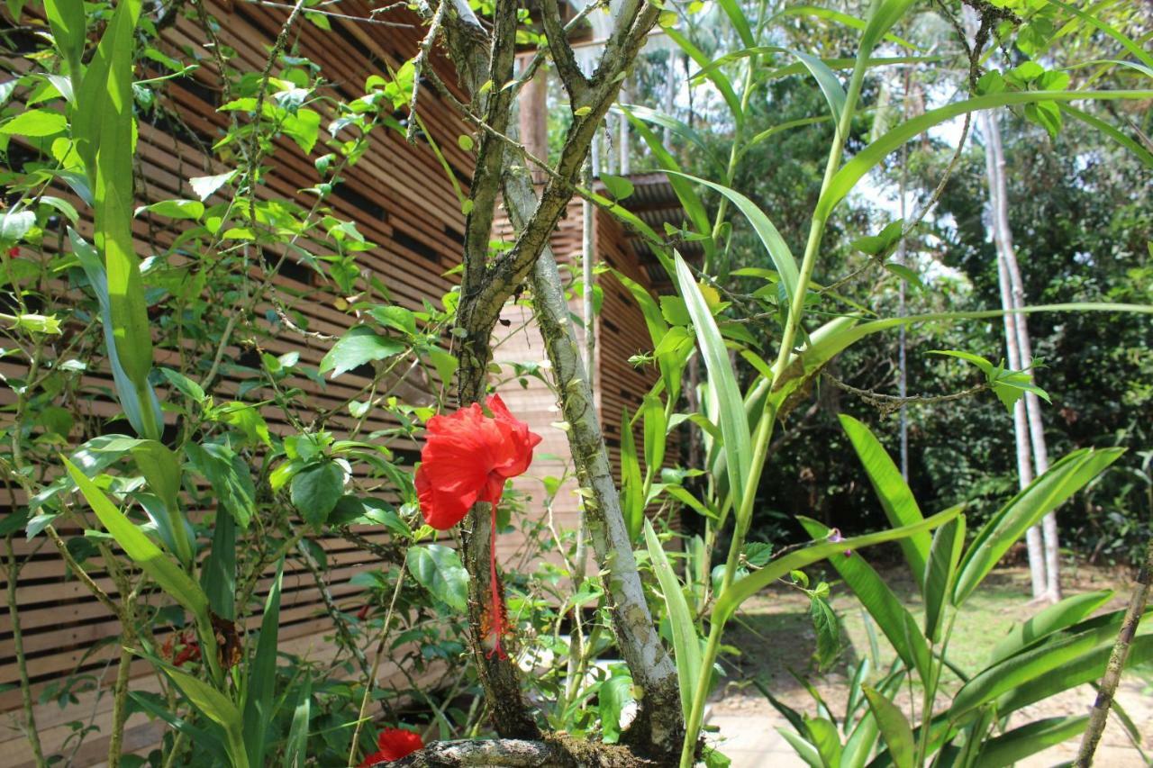 Palmayacu - Refugio Amazonico Leticia Ngoại thất bức ảnh