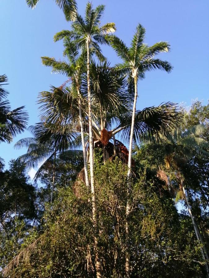 Palmayacu - Refugio Amazonico Leticia Ngoại thất bức ảnh
