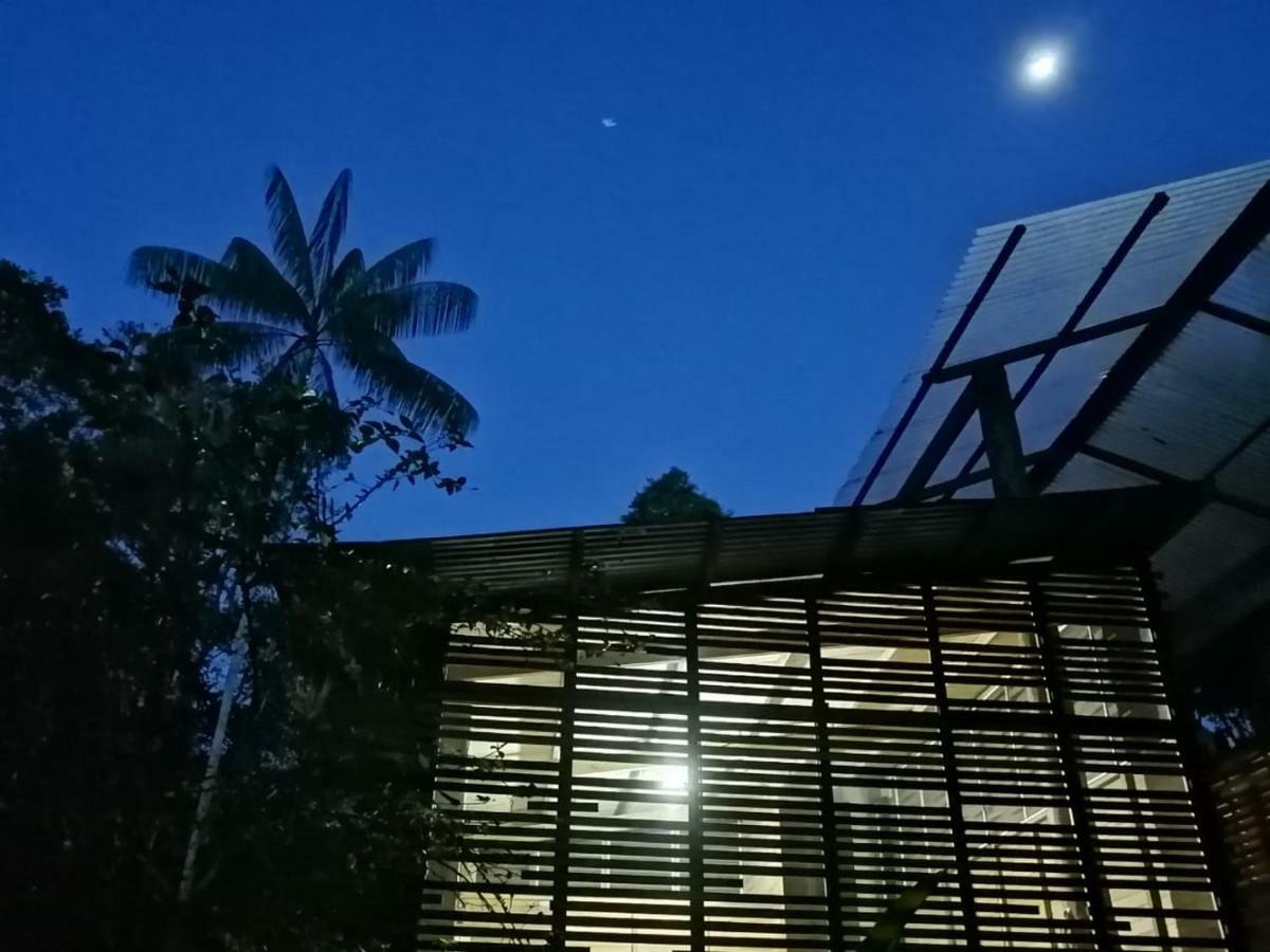Palmayacu - Refugio Amazonico Leticia Ngoại thất bức ảnh
